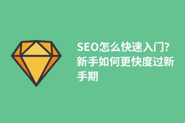 SEO怎么快速入門(mén)？新手如何更快度過(guò)新手期