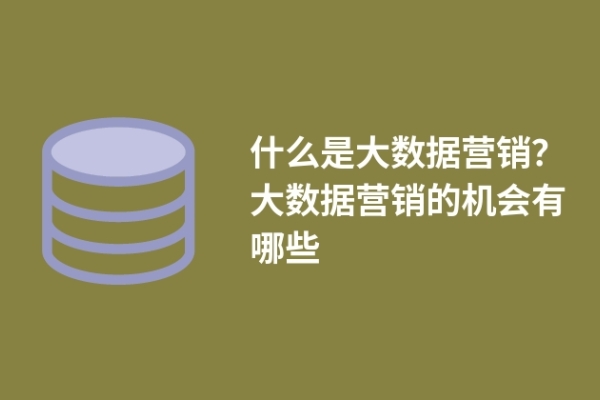 什么是大數(shù)據(jù)營銷？大數(shù)據(jù)營銷的機(jī)會有哪些