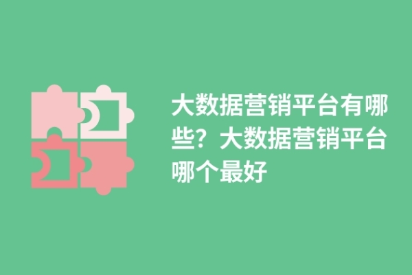 大數(shù)據(jù)營銷平臺有哪些？大數(shù)據(jù)營銷平臺哪個最好