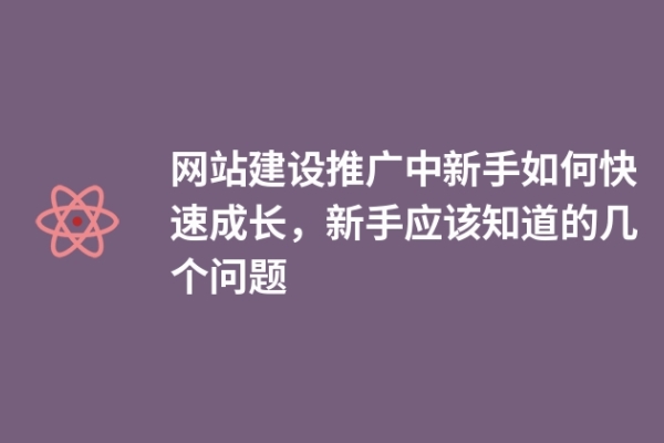 網(wǎng)站建設(shè)推廣中新手如何快速成長，新手應(yīng)該知道的幾個問題