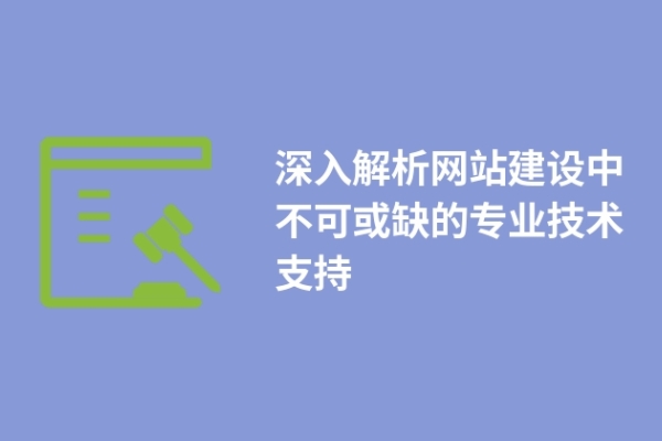 深入解析網(wǎng)站建設(shè)中不可或缺的專業(yè)技術(shù)支持