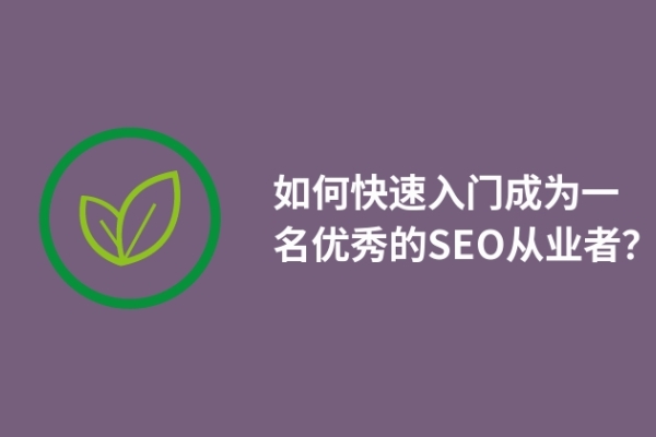 如何快速入門成為一名優(yōu)秀的SEO從業(yè)者？