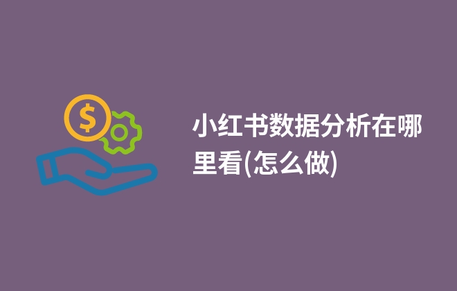 小紅書數(shù)據(jù)分析在哪里看(怎么做)