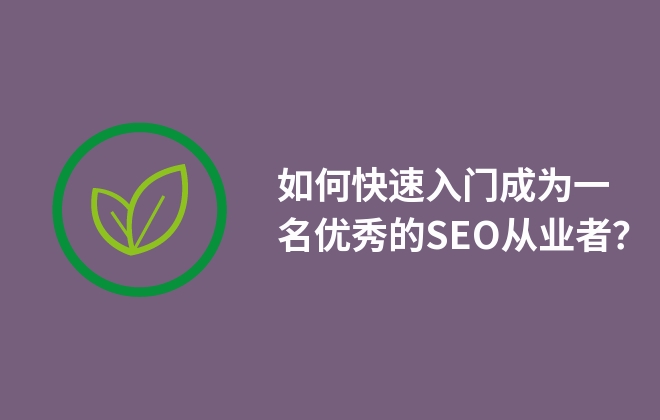 如何快速入門成為一名優(yōu)秀的SEO從業(yè)者？