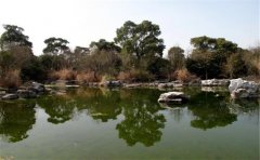 空氣負氧離子監測系統監測公園空氣清新度